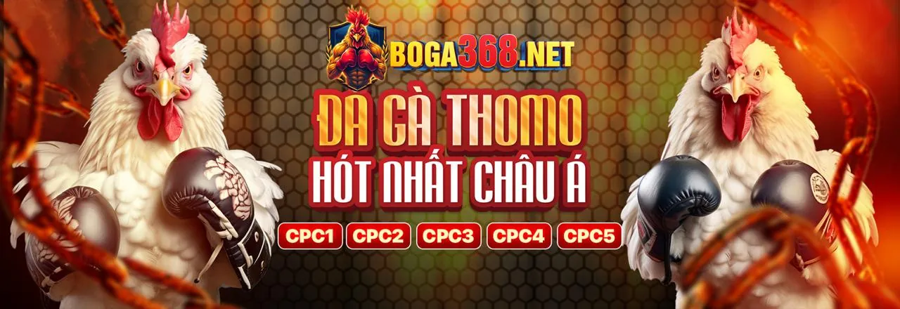 Các Cấp Độ VIP bancah5