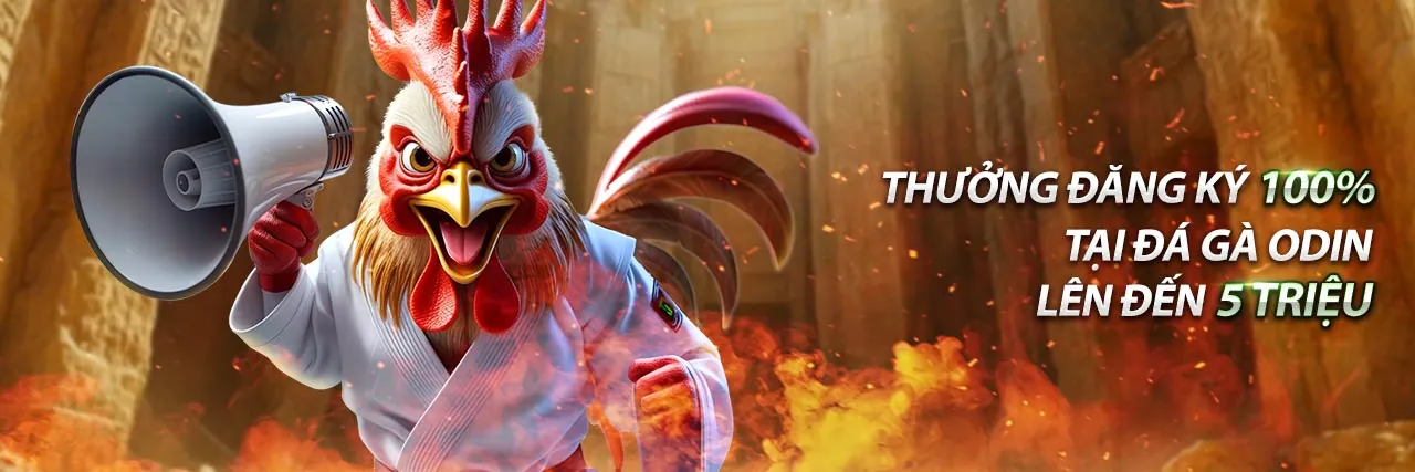 Hình ảnh chính Điều khoản Dịch vụ bancah5